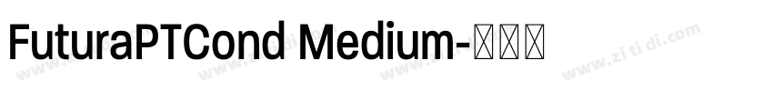 FuturaPTCond Medium字体转换